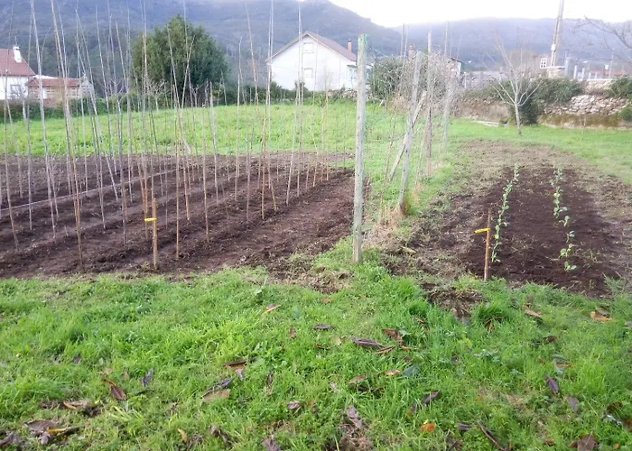 Εξοχικό σπίτι O Cruceiro